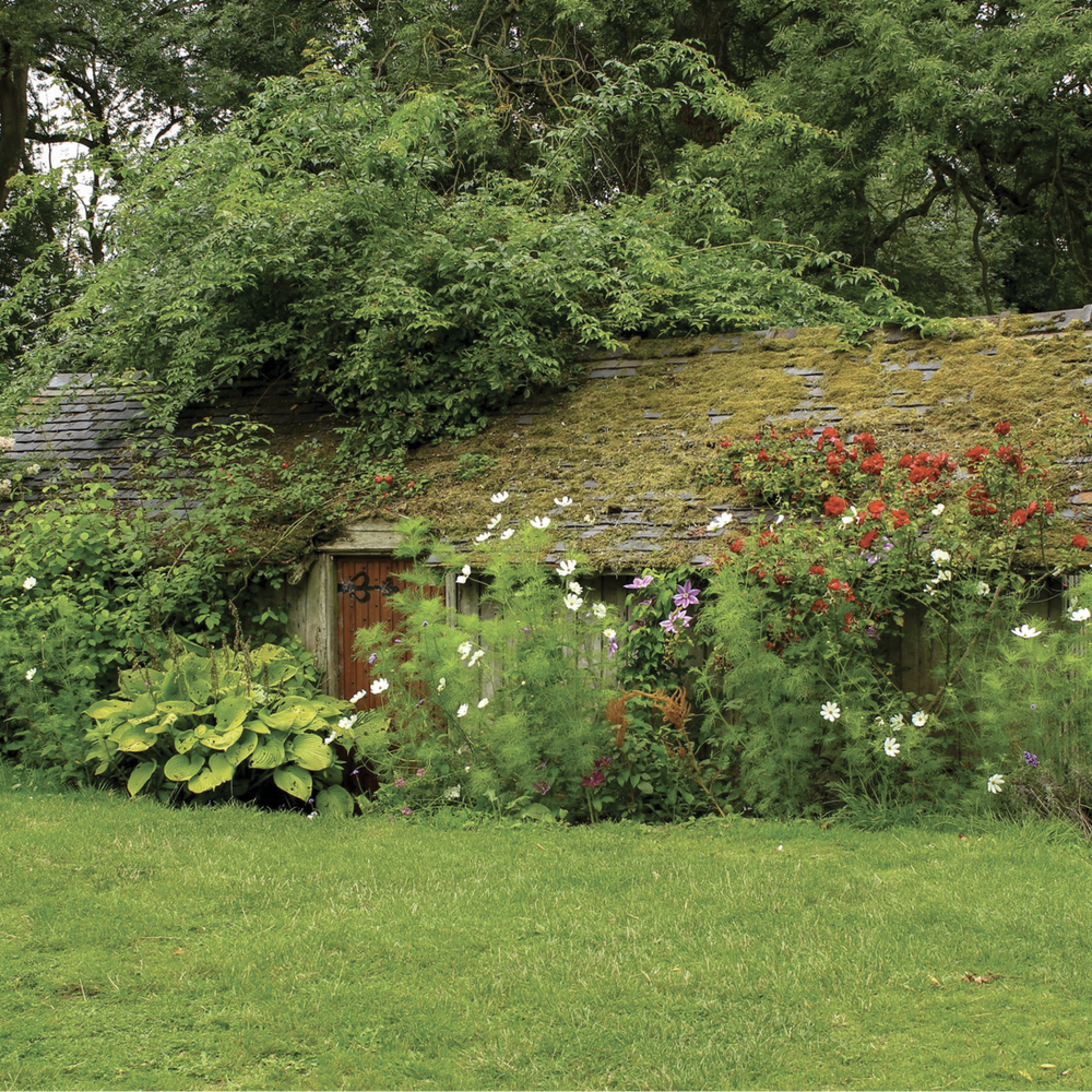 THE IMPORTANCE OF SPRING CLEANING YOUR HOME WITH NATURAL PRODUCTS