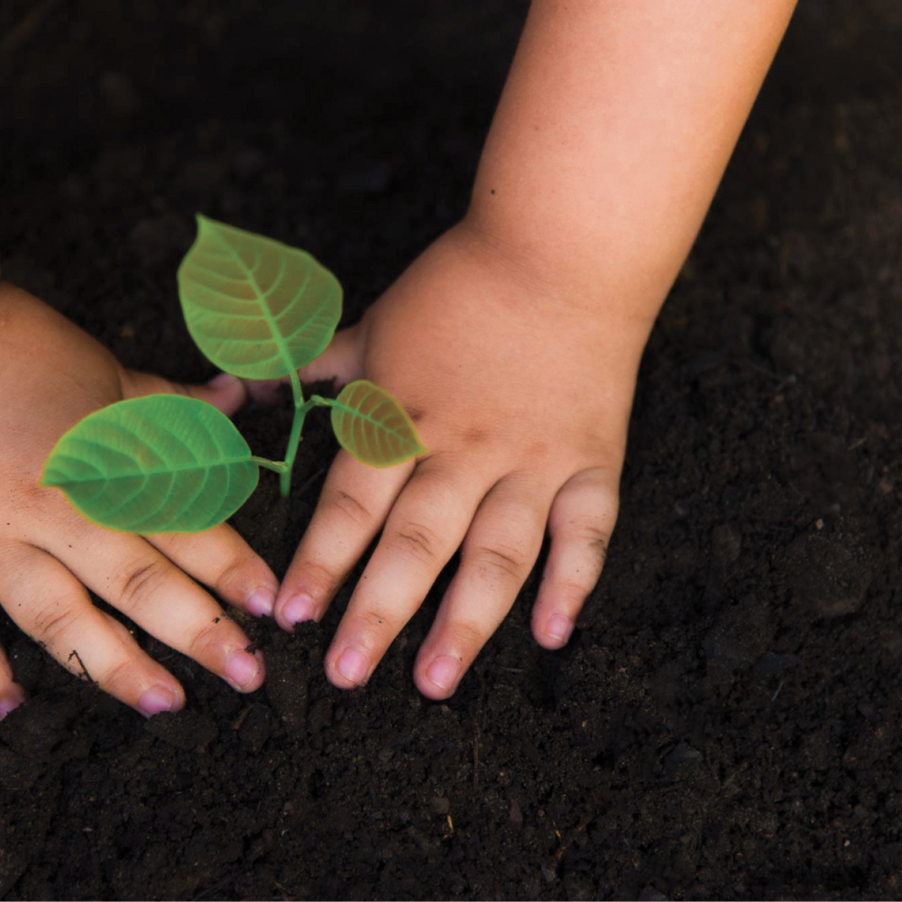 OUR MESSAGE IS SIMPLE: 'FIND WILD ORGANIC WAYS TO LIVE...'