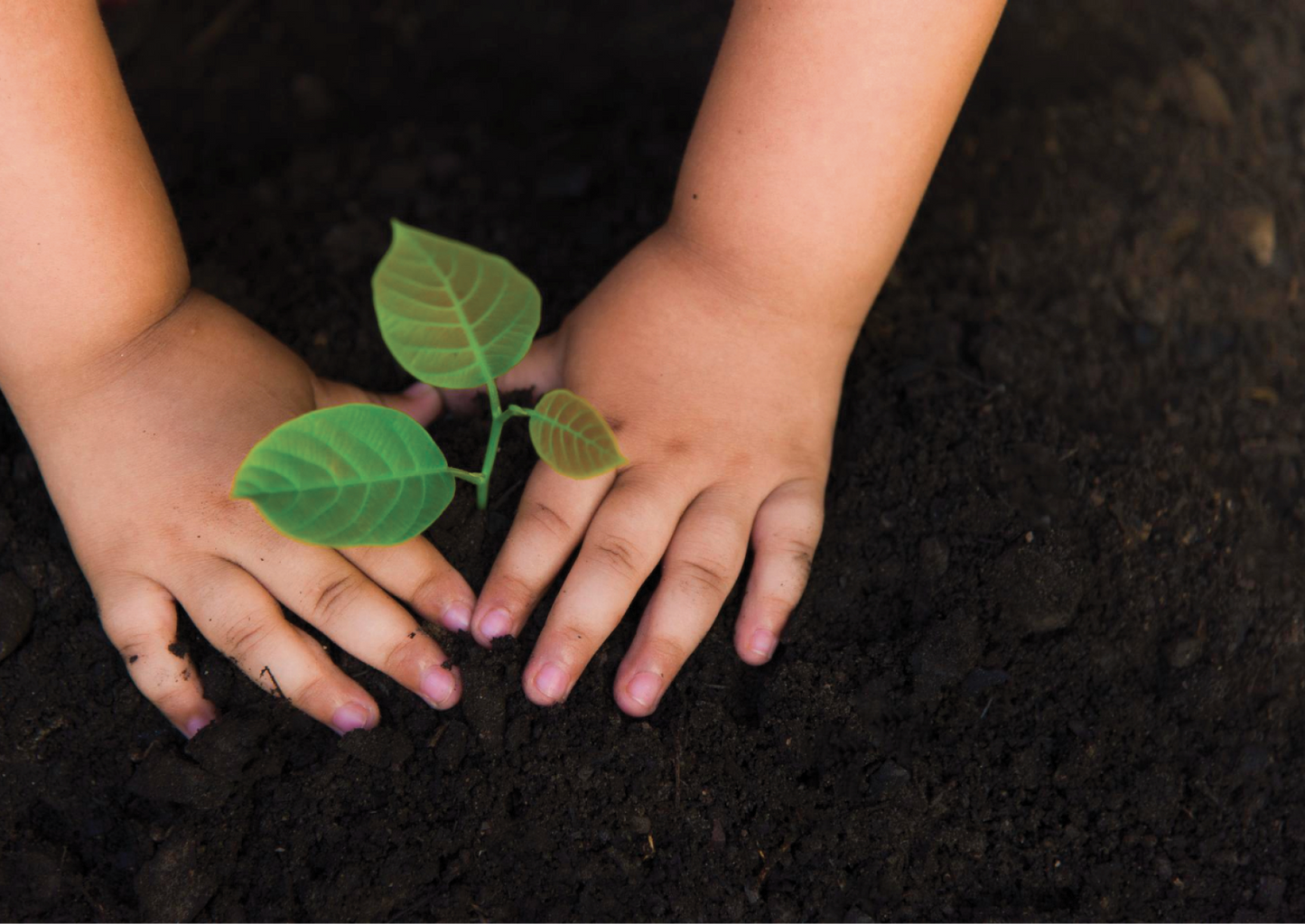 OUR MESSAGE IS SIMPLE: 'FIND WILD ORGANIC WAYS TO LIVE...'